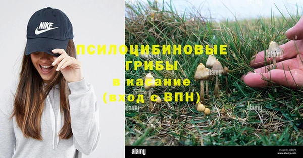 дмт Алзамай
