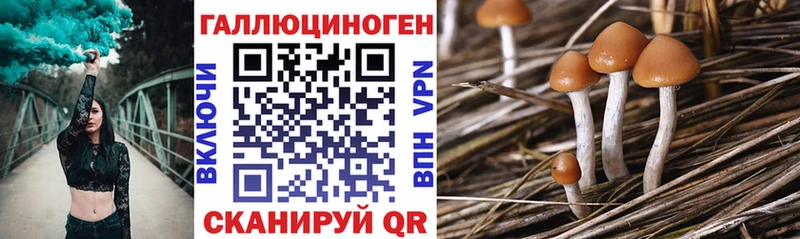 Псилоцибиновые грибы Magic Shrooms  Орёл 